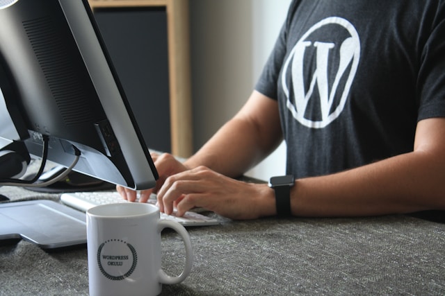 Wordpress Business Owner