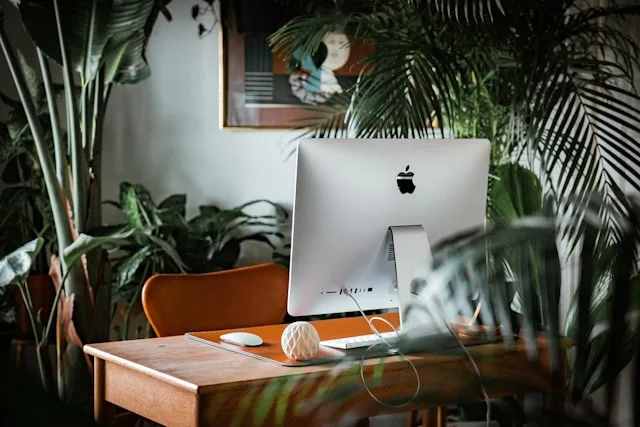 Web Design & Development Office